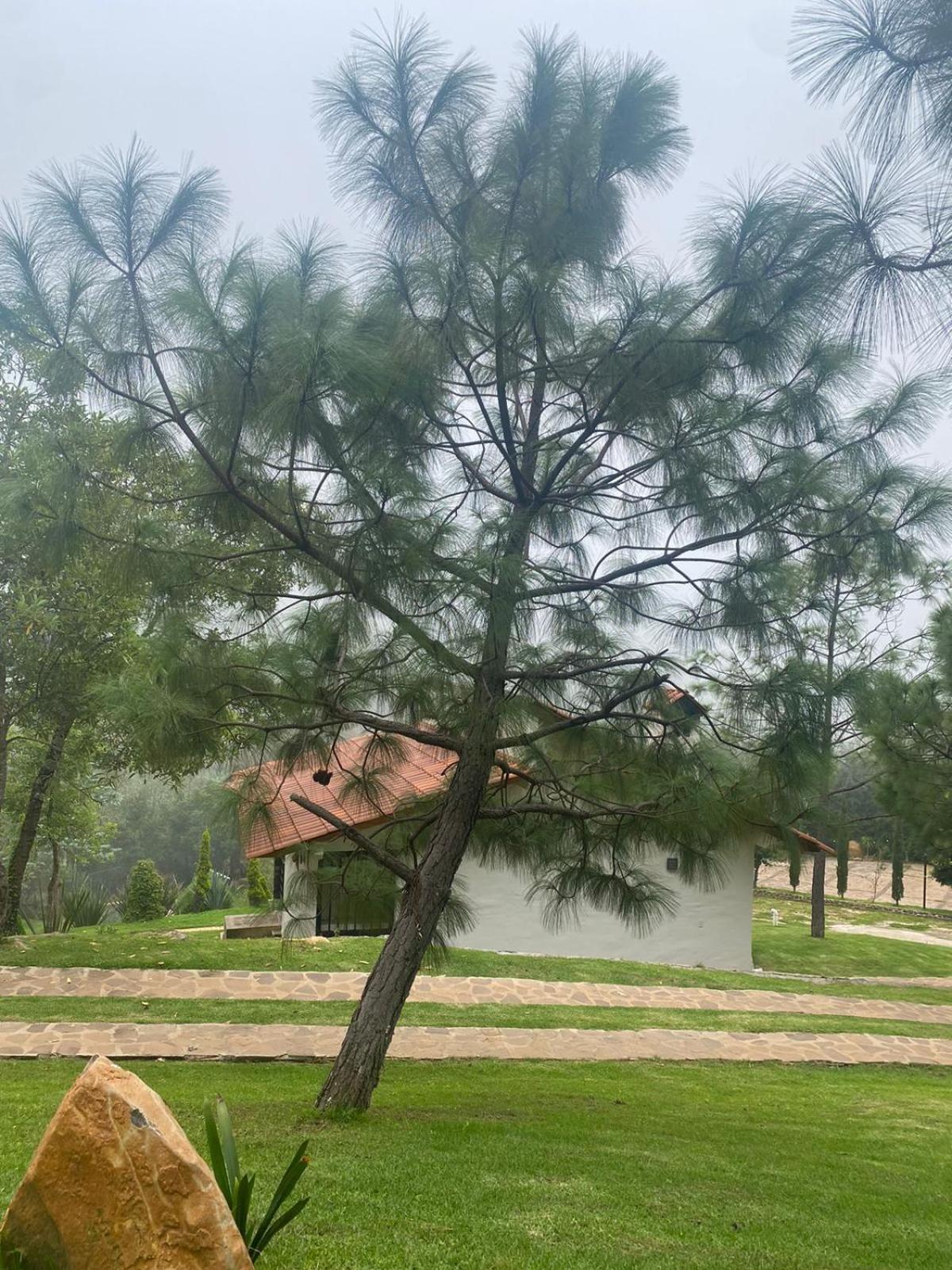 Cabanas Santorito Mazamitla Kültér fotó